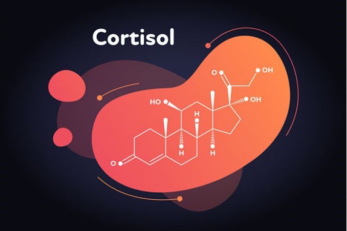 کورتیزول-چیست